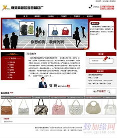 網(wǎng)站建設(shè)的全面指南 從規(guī)劃到上線