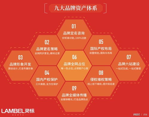 青青國際攜手國際品牌管理機(jī)構(gòu)，為參展企業(yè)注入全球品牌新動力